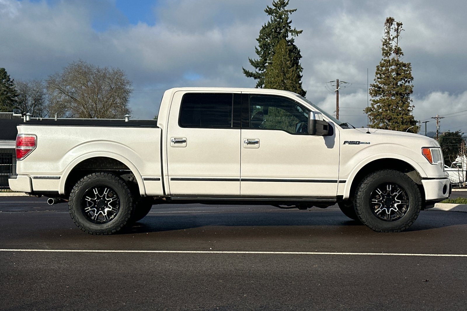 Used 2010 Ford F150 Platinum image 3