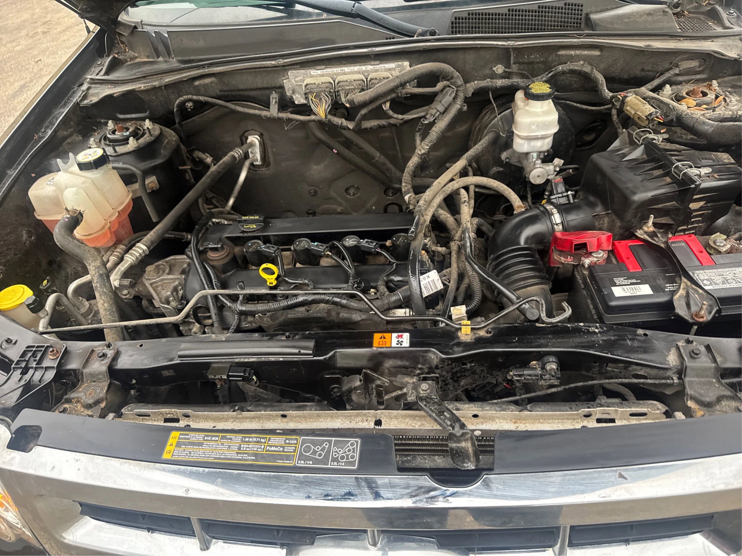 Used 2012 Ford Escape XLT image 20