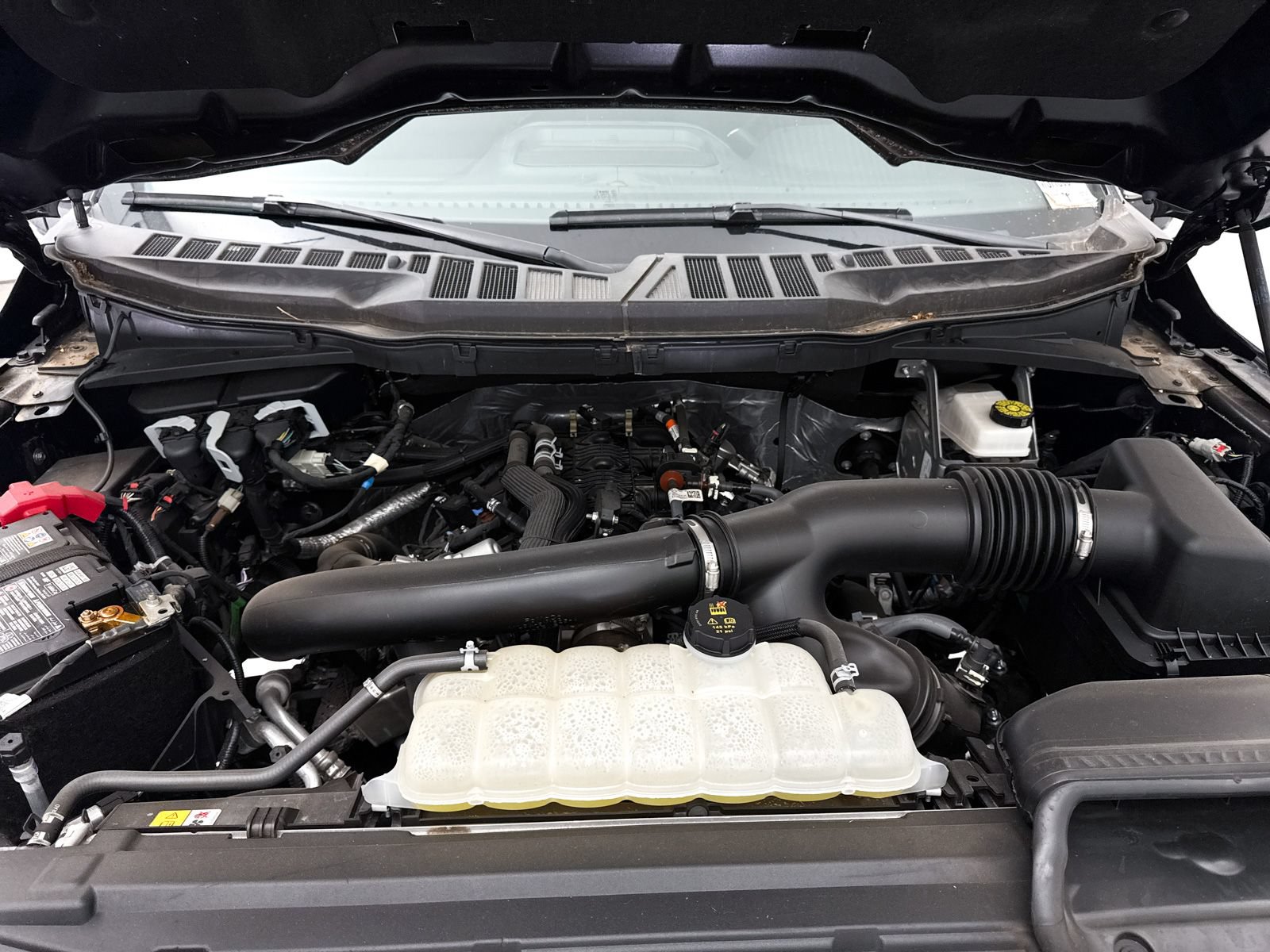 Used 2025 Ford F150 XLT w/ Equipment Group 302A MID AWD/4WD image 8