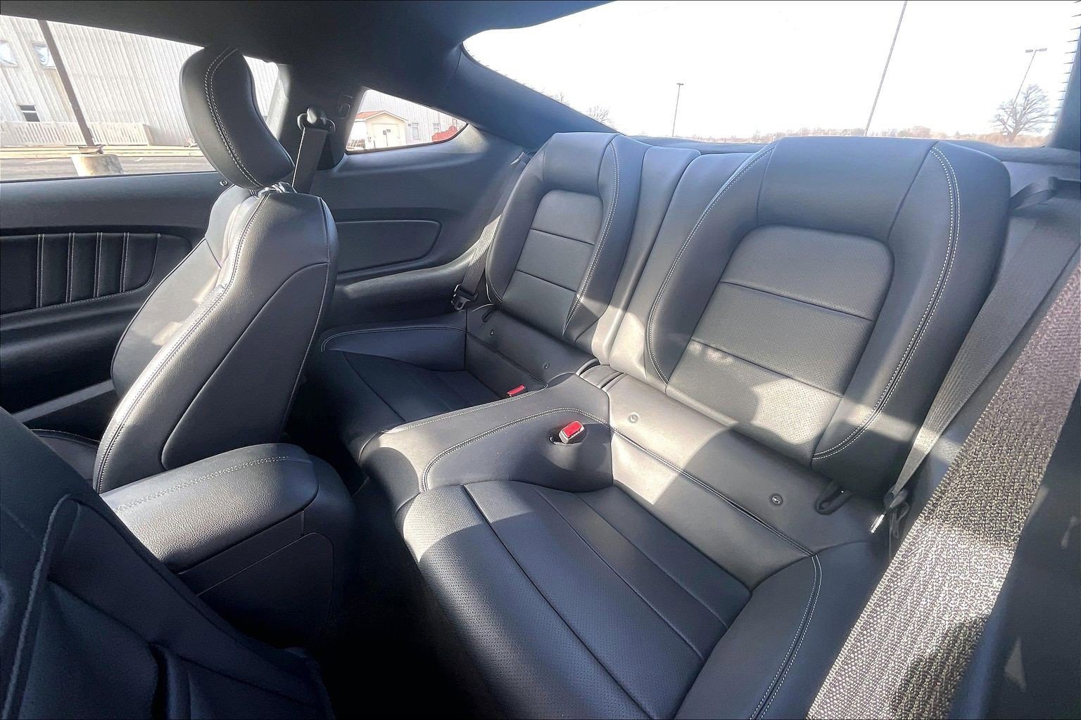 Used 2015 Ford Mustang GT Premium w/ Equipment Group 401A image 17