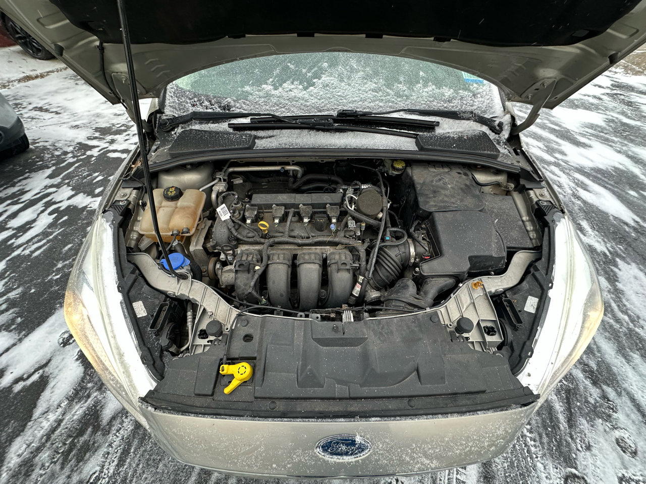 Used 2016 Ford Focus SE w/ SE Cold Weather Package image 40