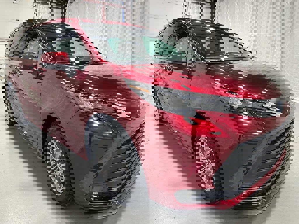 View Video