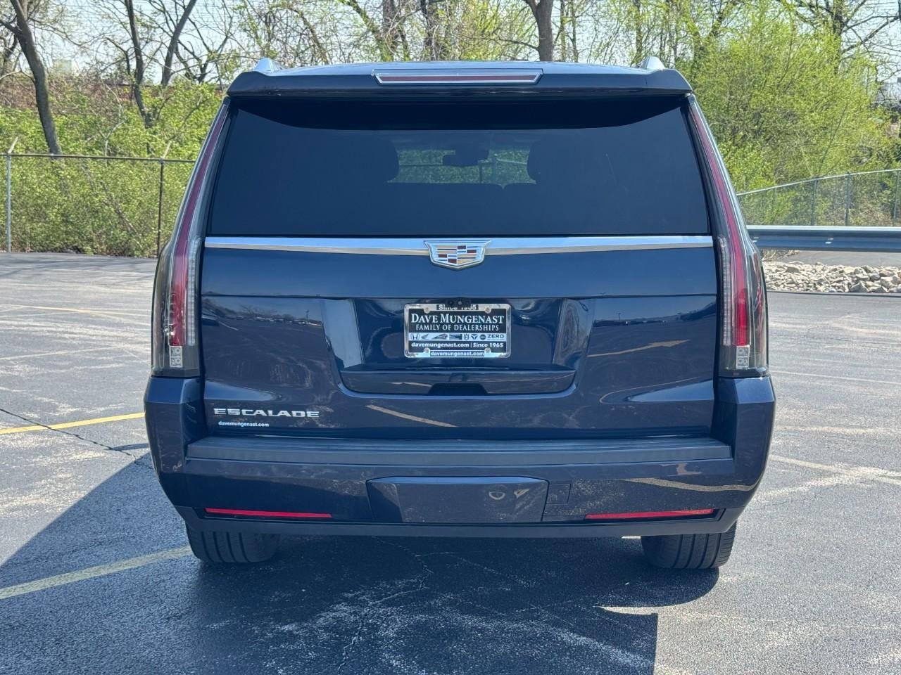 Used 2019 Cadillac Escalade ESV Luxury image 6