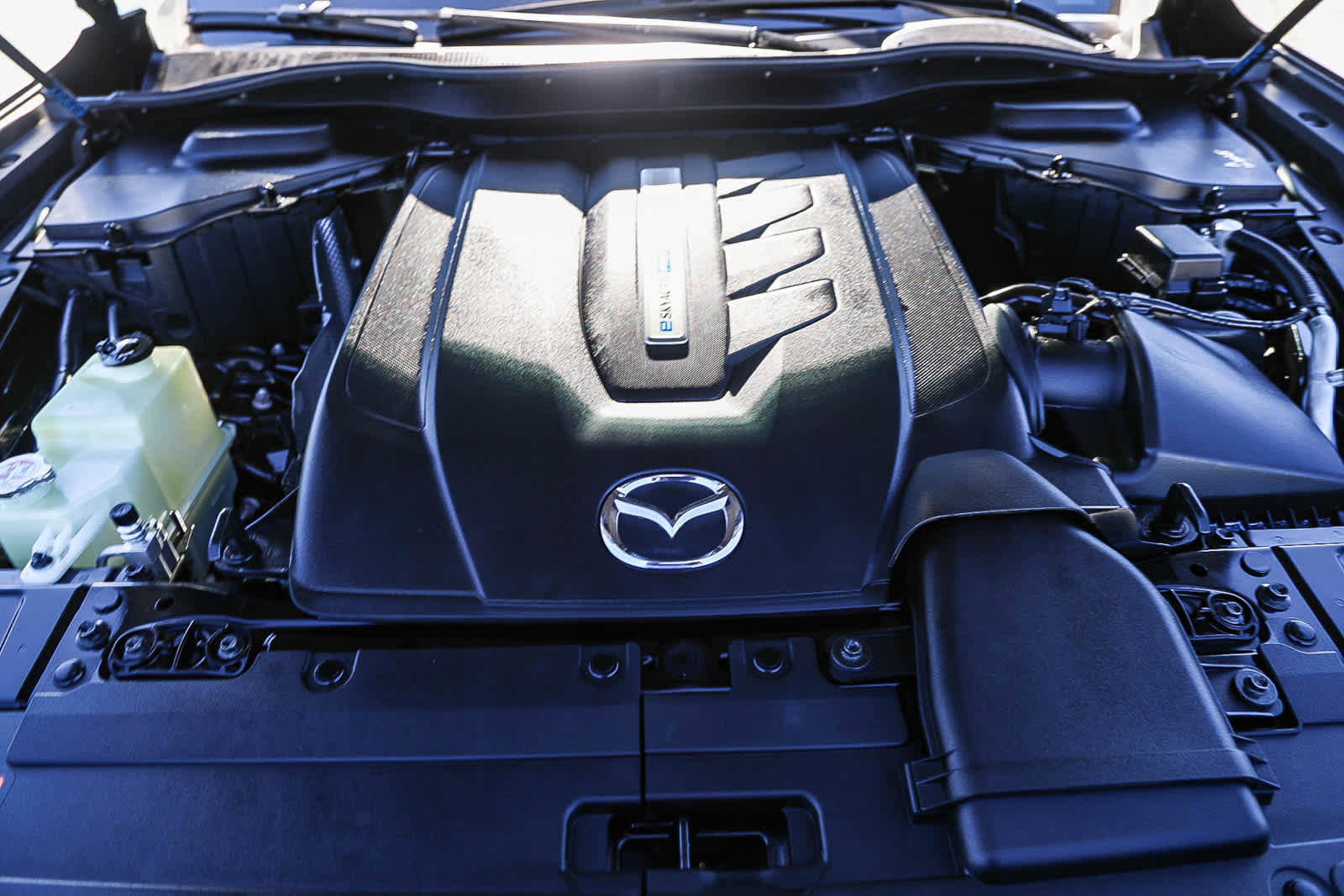 06d5caf4b7884fe69b1532b867d448