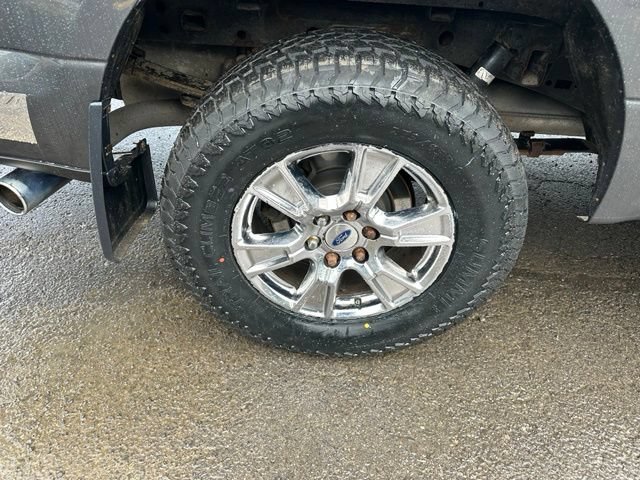 Used 2016 Ford F150 XLT w/ Equipment Group 302A Luxury AWD/4WD image 13