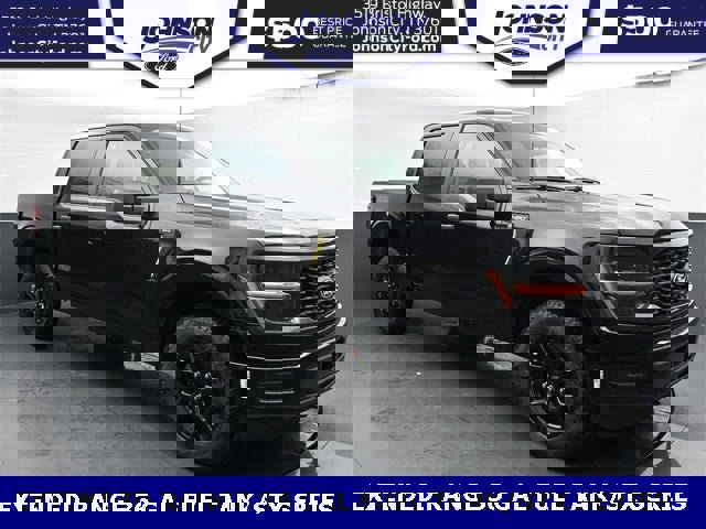 New 2025 Ford F150 STX