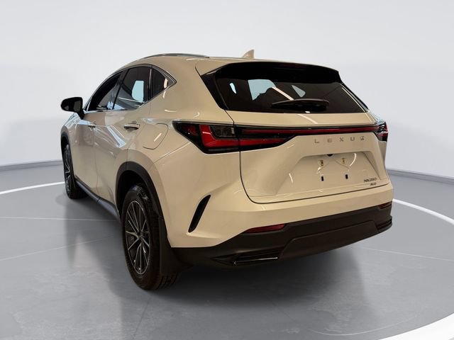 Used 2024 Lexus NX 350 AWD w/ Cold Area Package image 7