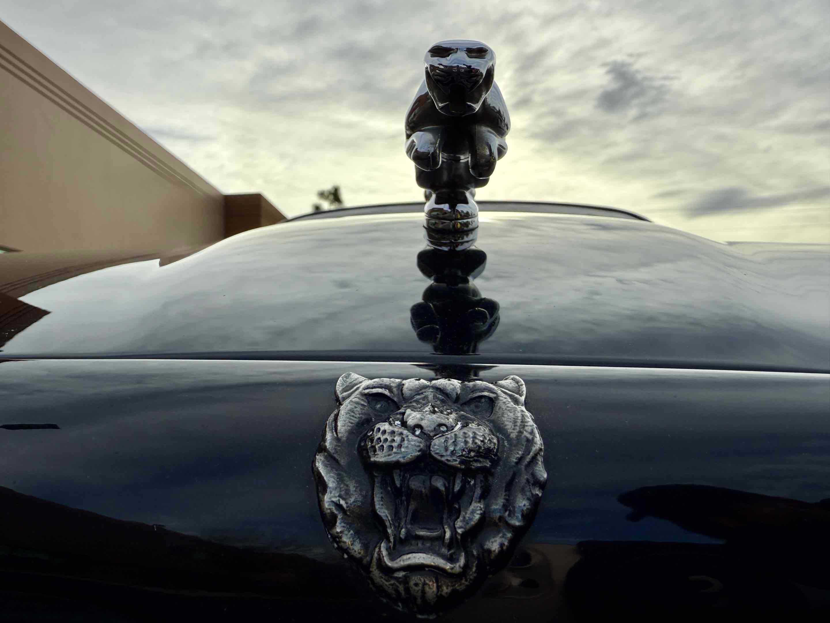 Used 2002 Jaguar XJ8 image 13