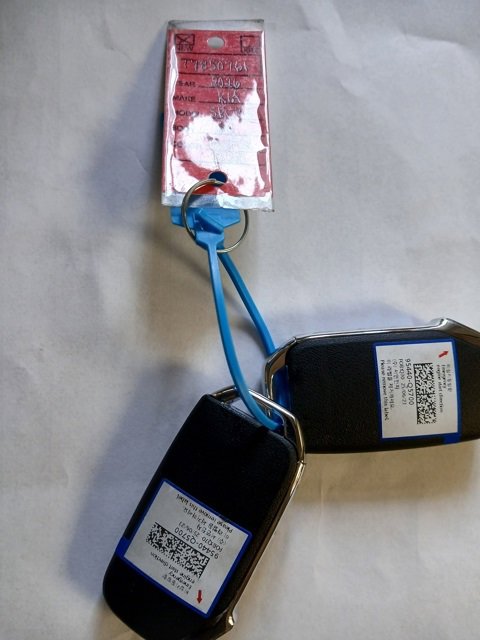 New 2026 Kia Seltos SX w/ SX Sunroof Package image 47