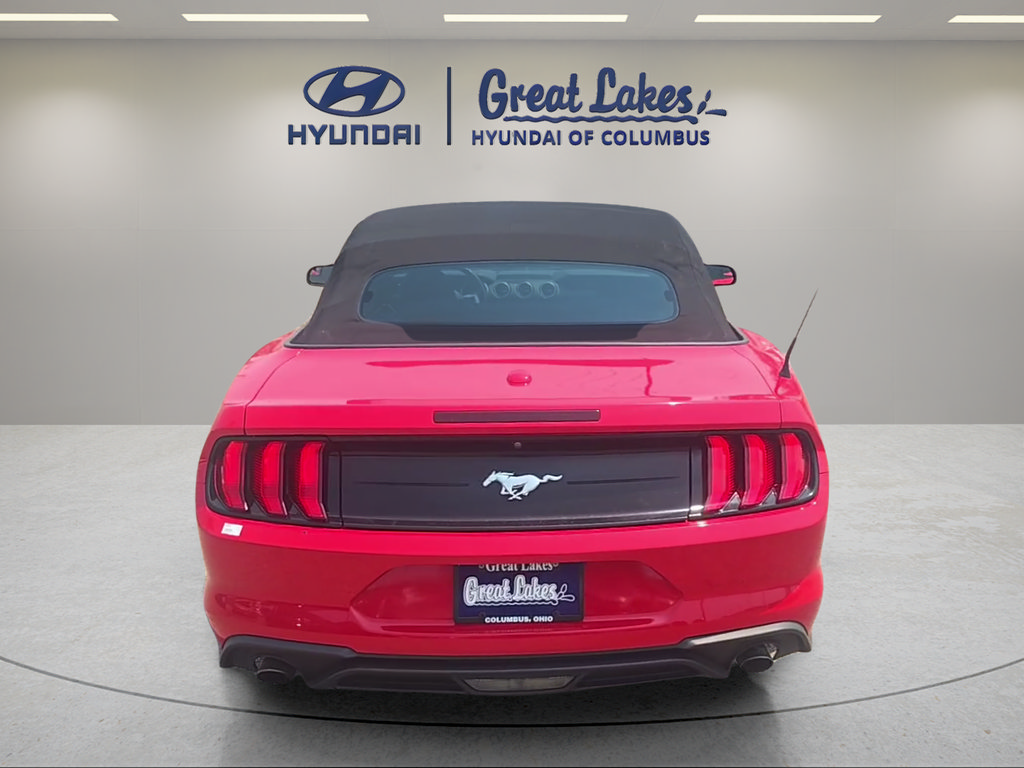 Used 2019 Ford Mustang Convertible RWD image 4