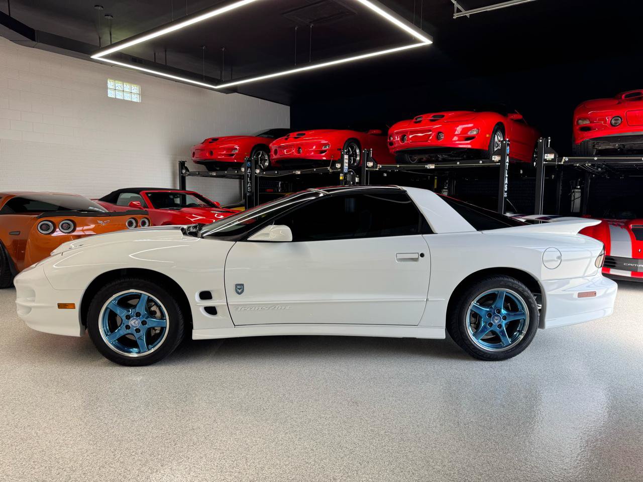Used 1999 Pontiac Firebird Formula RWD image 3