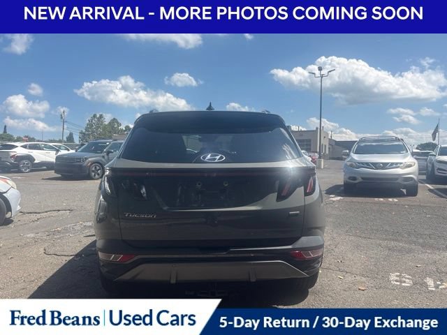 Used 2024 Hyundai Tucson Limited AWD/4WD image 7