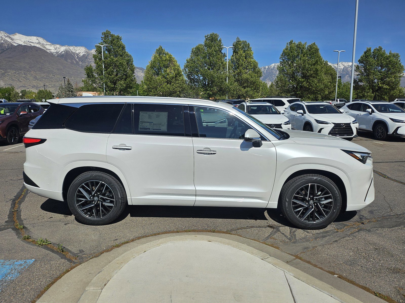New 2026 Lexus TX 350 AWD image 4