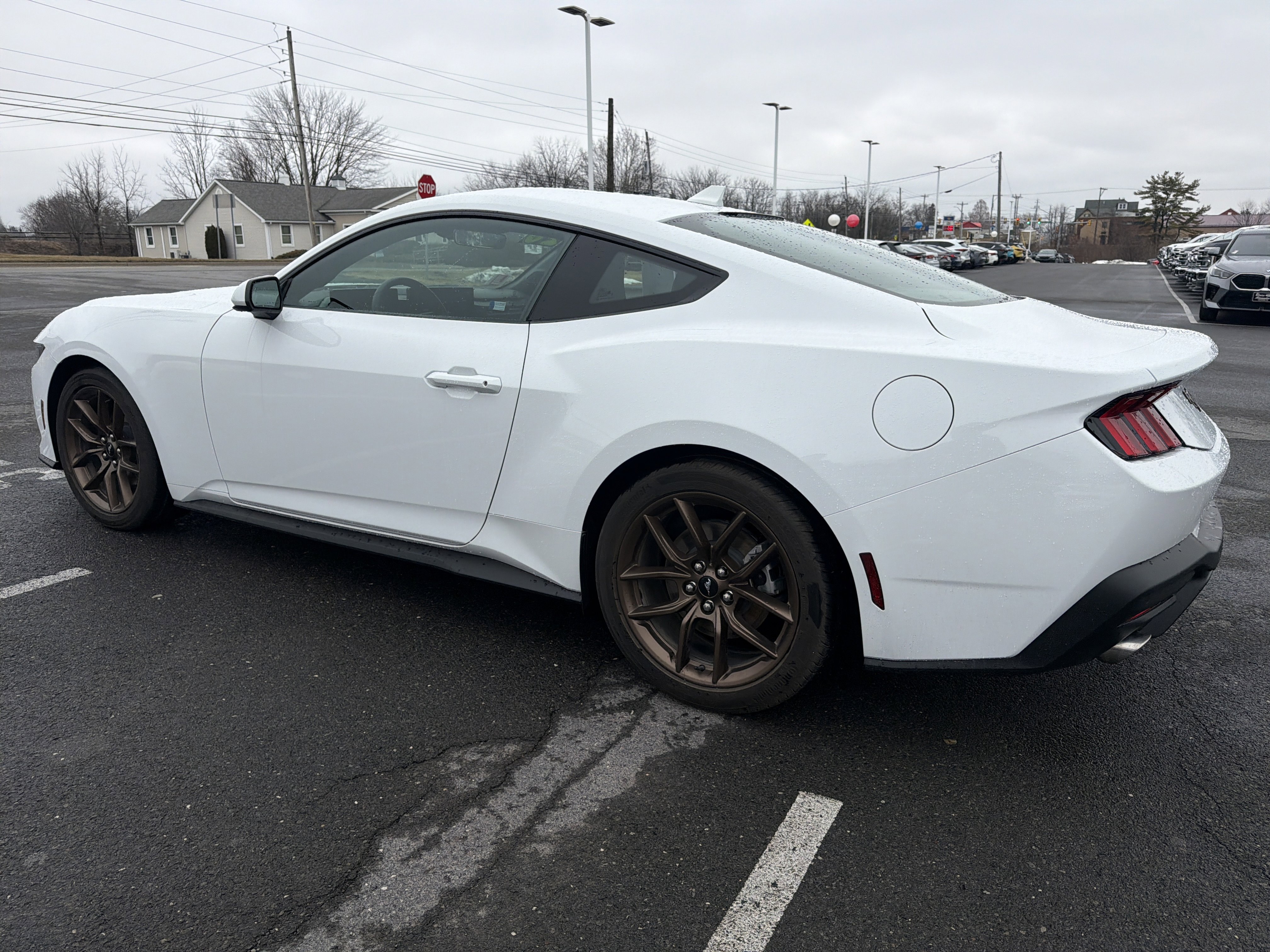 Used 2026 Ford Mustang EcoBoost image 6