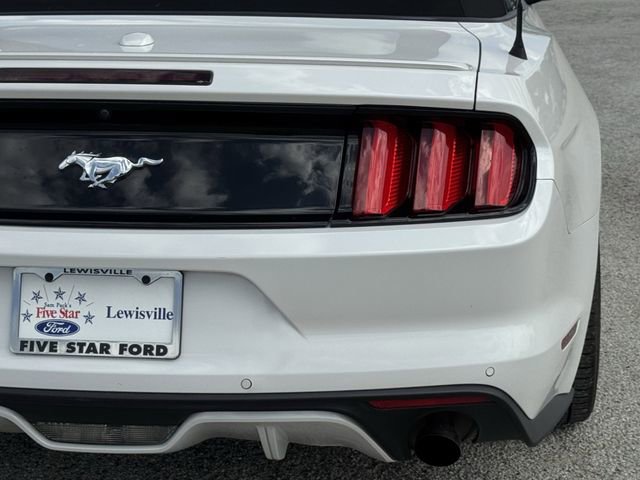 Used 2017 Ford Mustang Premium w/ Equipment Group 201A RWD image 6