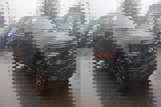 New 2025 Ford F150 STX w/ Equipment Group 201A FX4 image 7