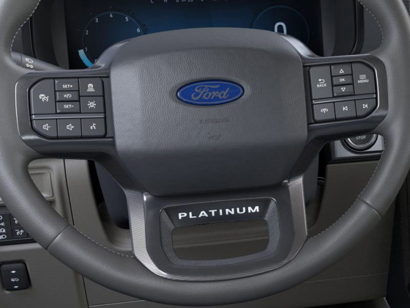 New 2026 Ford F150 Platinum image 13