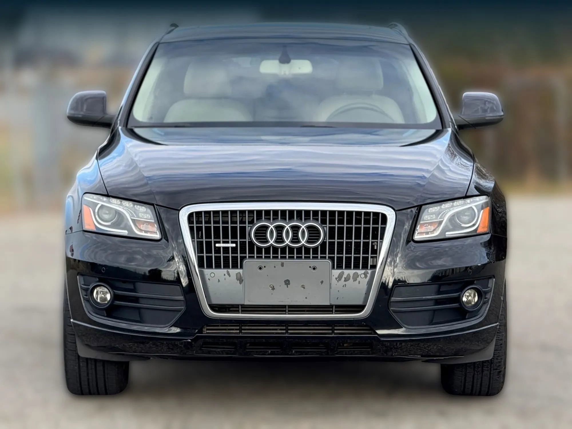 Used 2011 Audi Q5 2.0T Premium Plus image 4