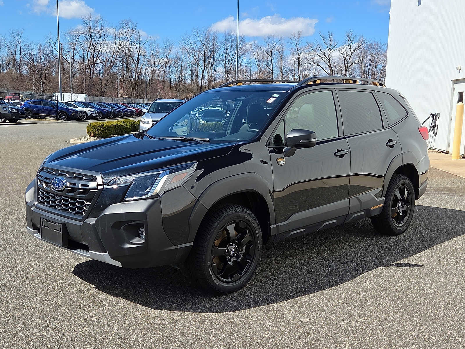 Used 2023 Subaru Forester Wilderness image 3