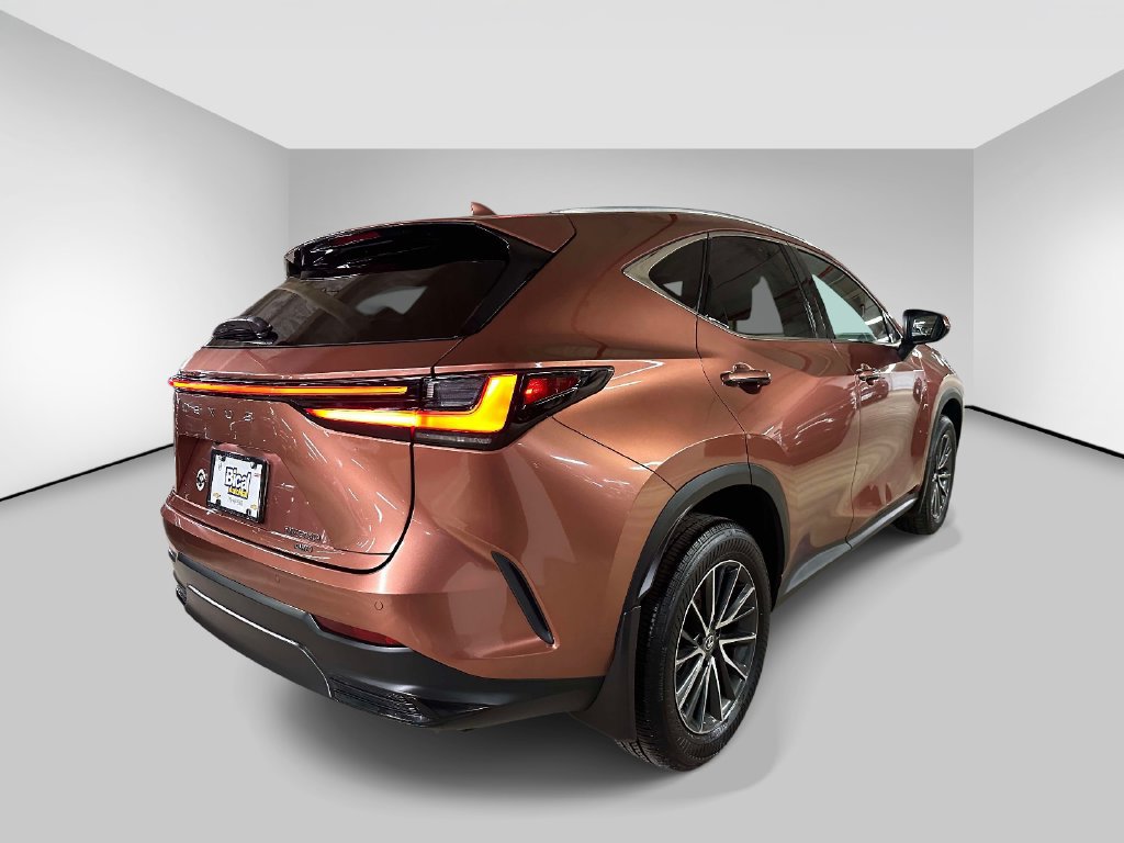 Used 2025 Lexus NX 250 AWD w/ Accessory Package (2T) image 5