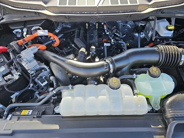 Used 2025 Ford F150 XLT w/ Equipment Group 301A Standard AWD/4WD image 31