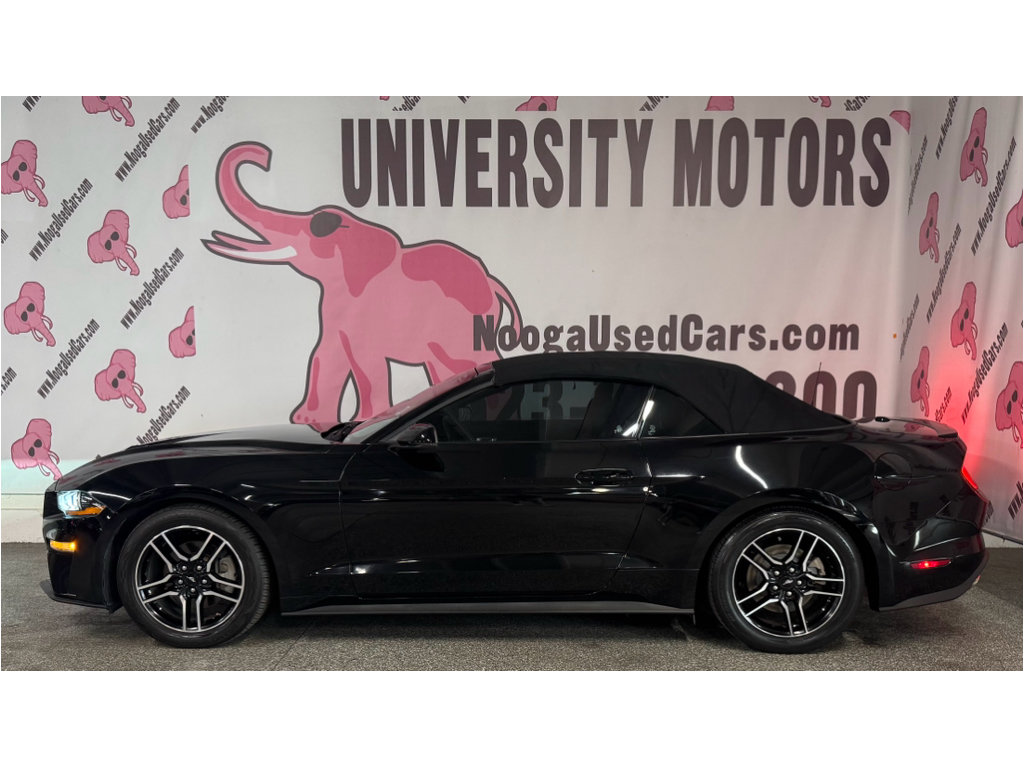 Used 2018 Ford Mustang Premium w/ Equipment Group 201A RWD image 10