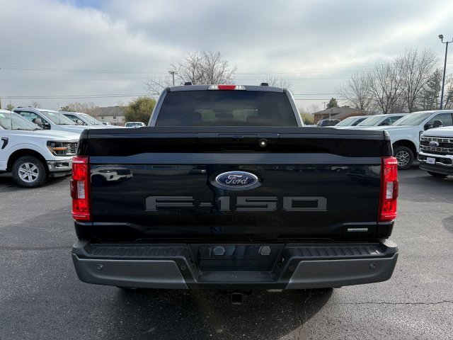 Used 2023 Ford F150 XLT w/ Equipment Group 302A High image 5
