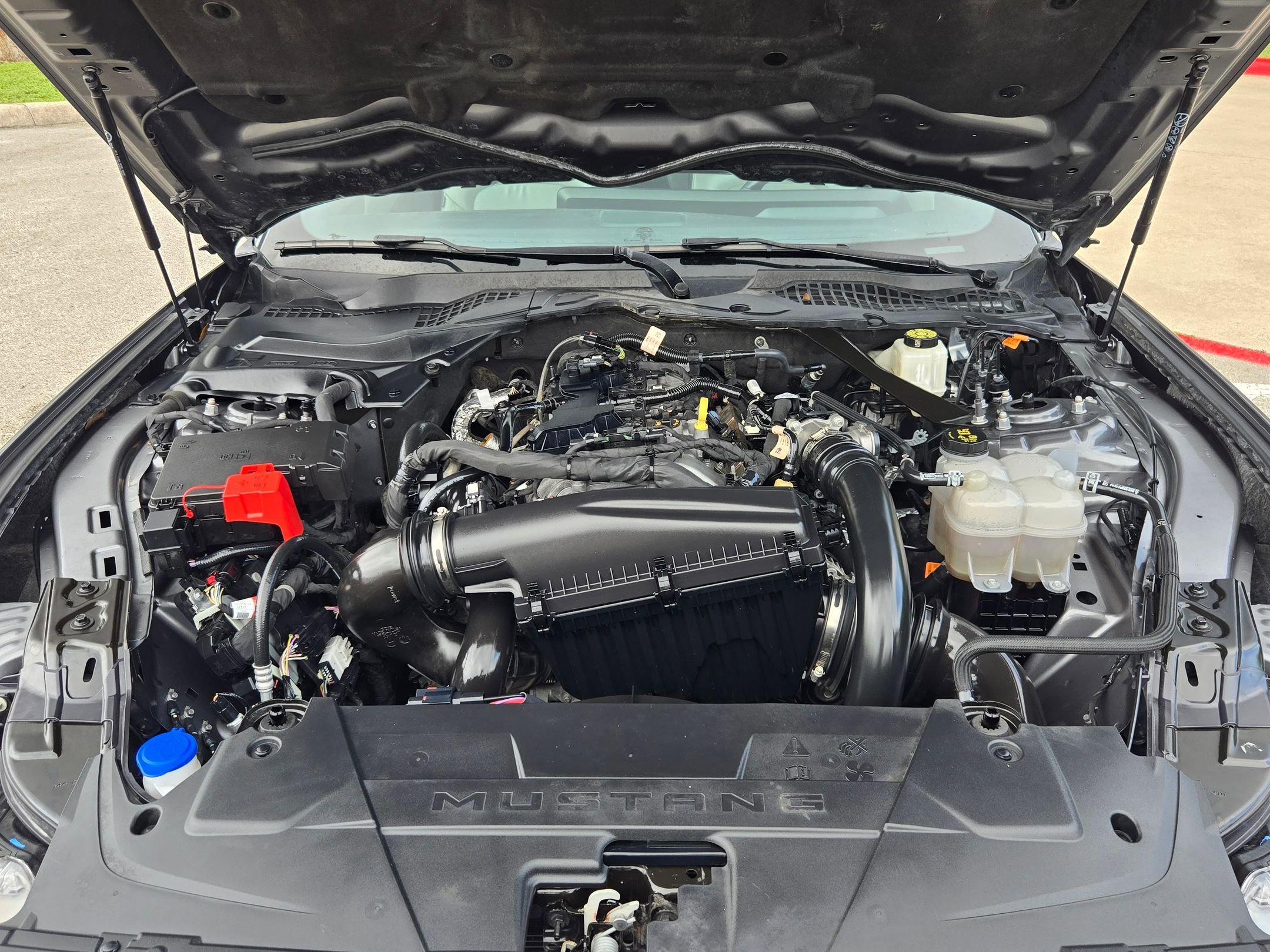 Used 2024 Ford Mustang Premium RWD image 30