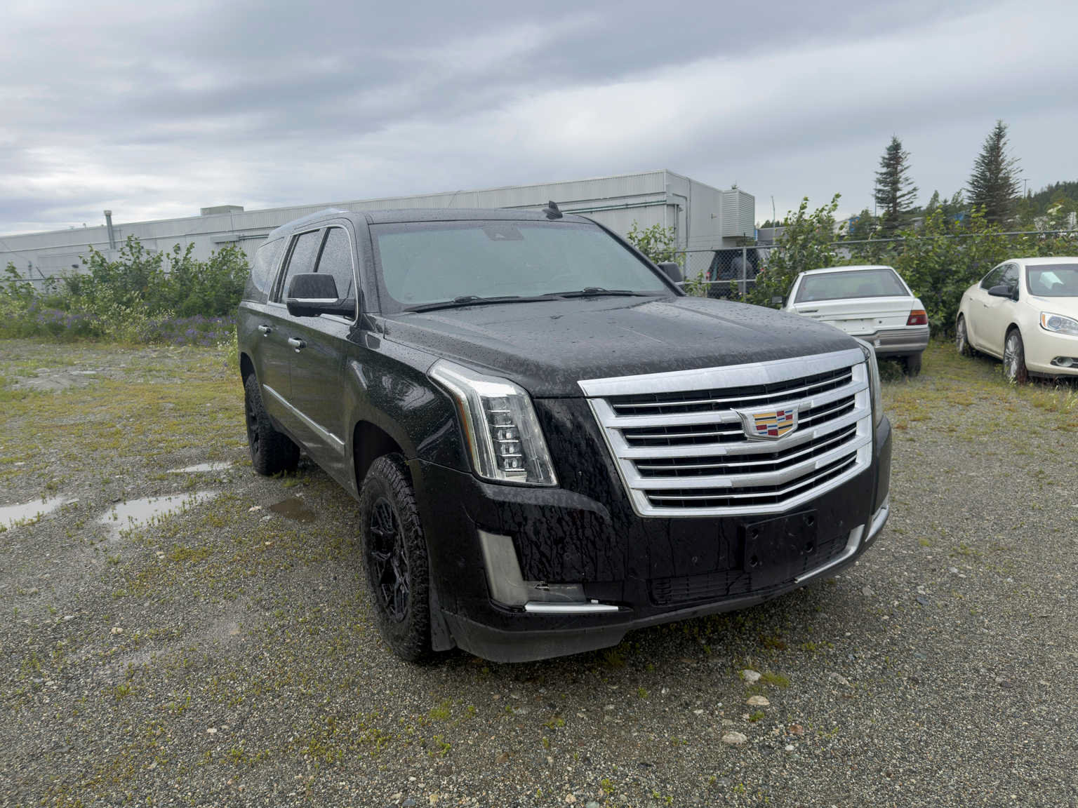 Used 2020 Cadillac Escalade ESV Platinum AWD/4WD image 5