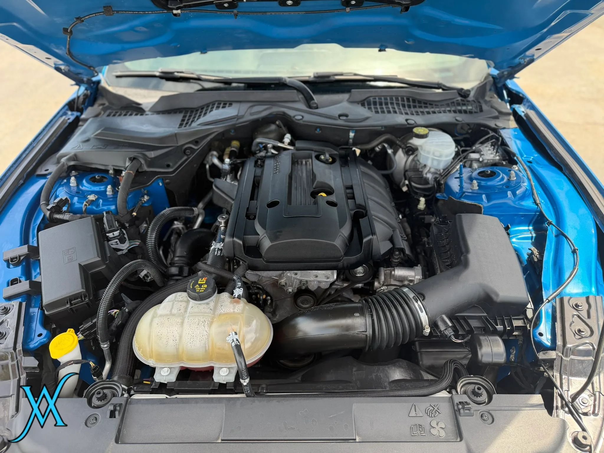 Used 2019 Ford Mustang Coupe w/ Equipment Group 101A RWD image 31