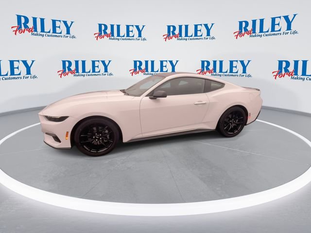 New 2026 Ford Mustang Premium image 5