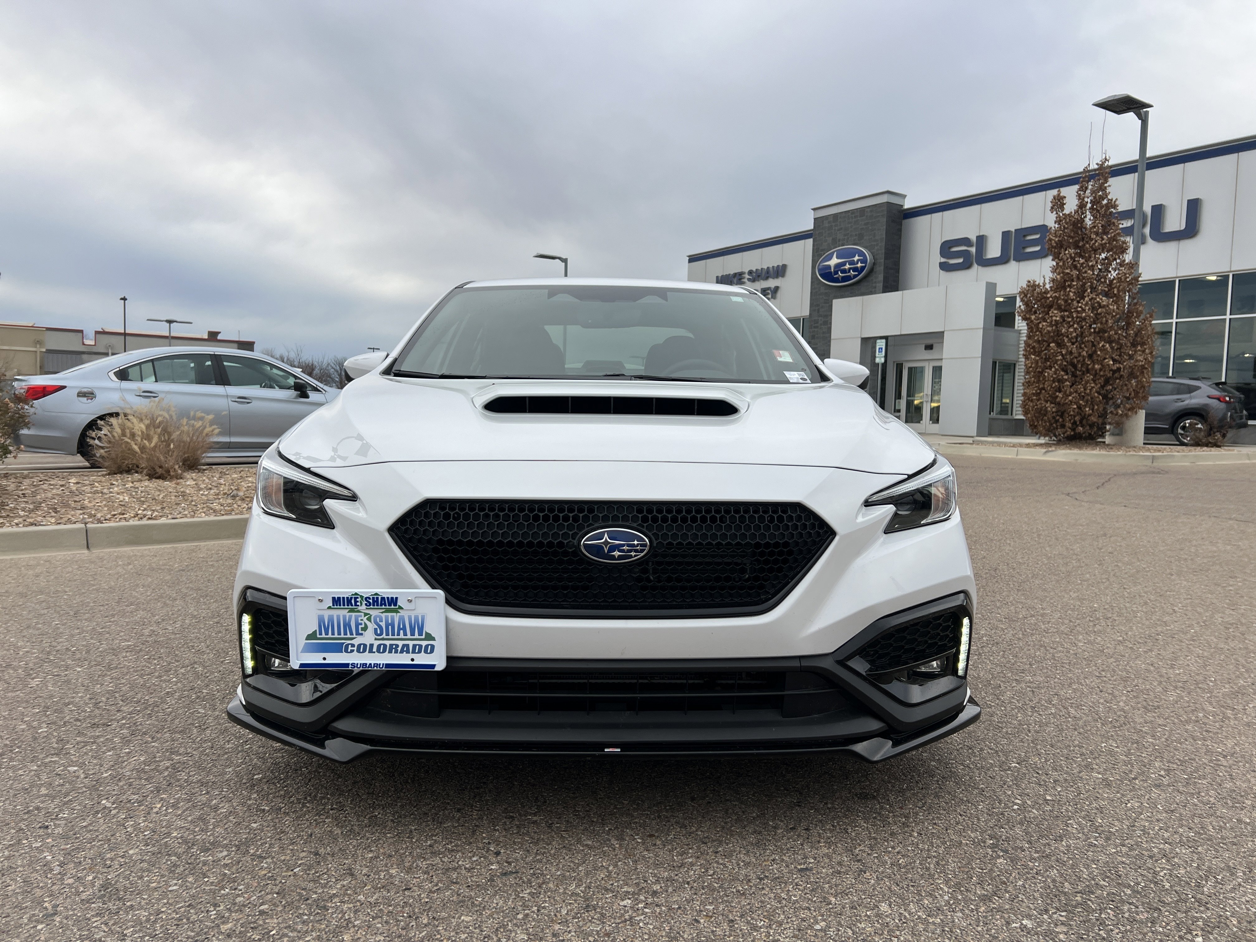 Used 2024 Subaru WRX Premium image 16