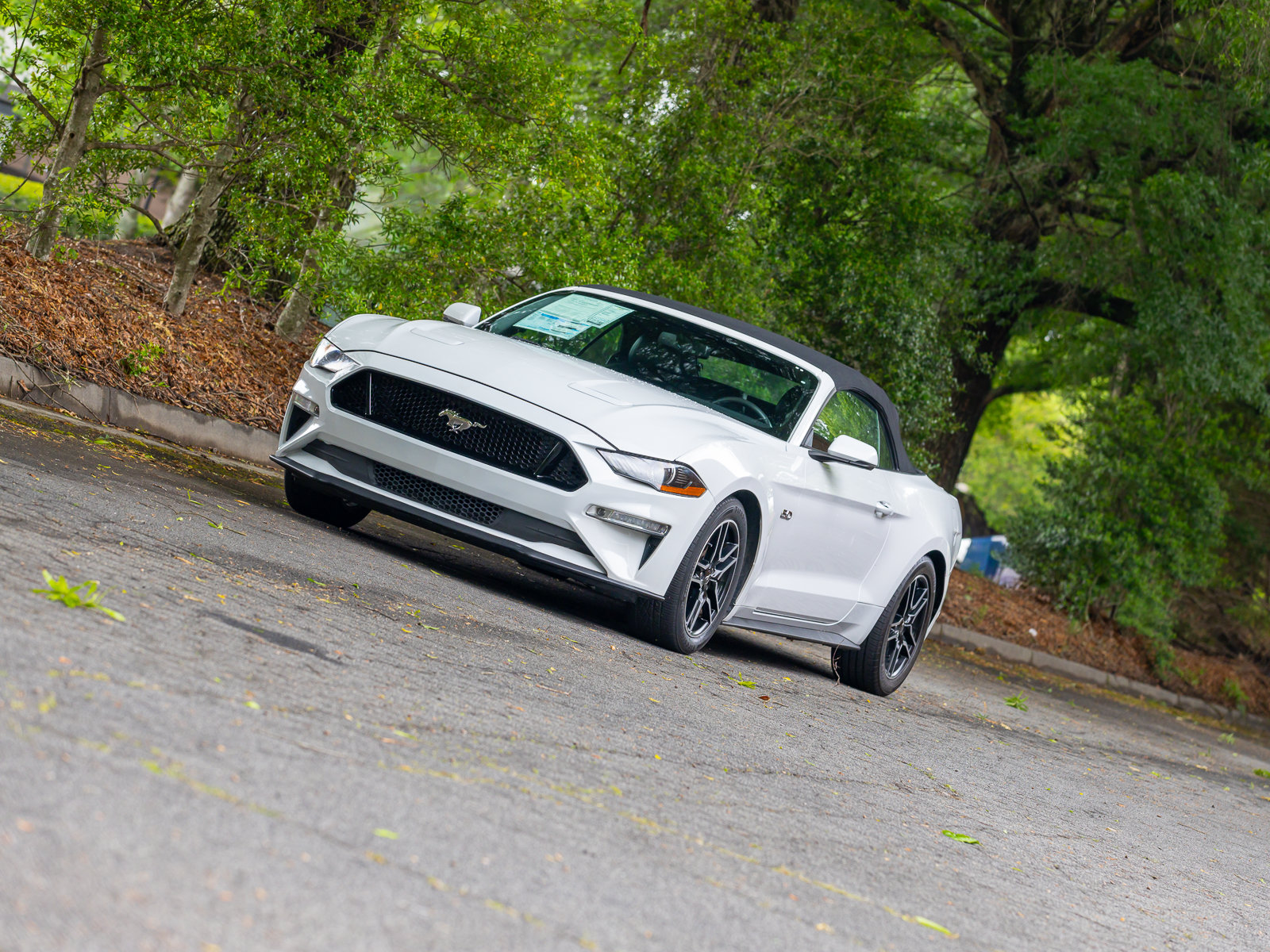 Used 2019 Ford Mustang GT Premium w/ Equipment Group 401A RWD image 40