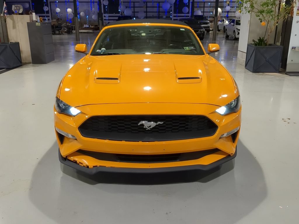 Used 2019 Ford Mustang Premium w/ Equipment Group 201A RWD video 2