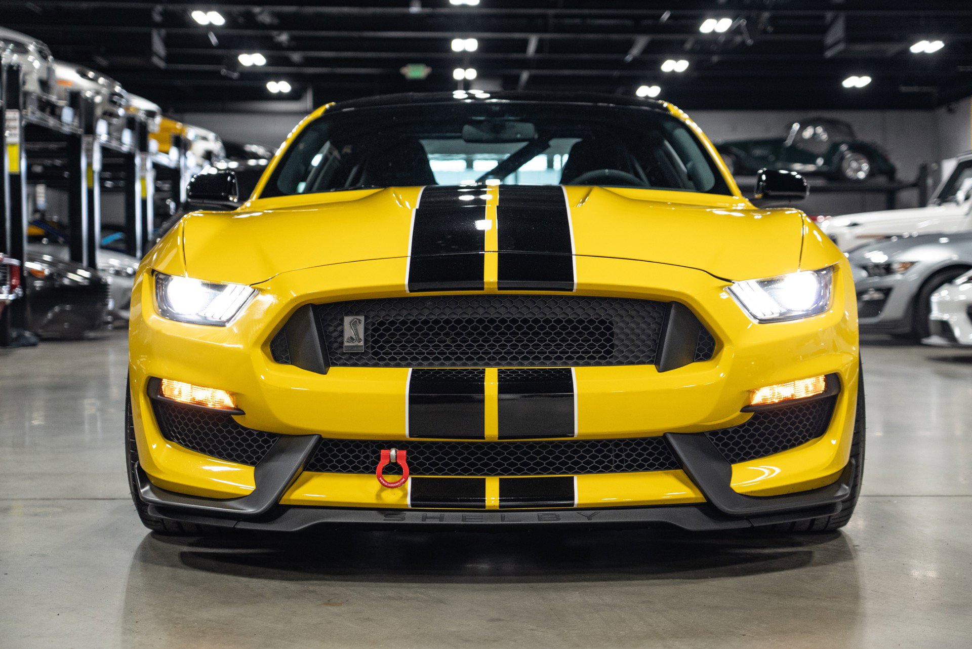 Used 2016 Ford Mustang Shelby GT350 w/ Track Package image 15