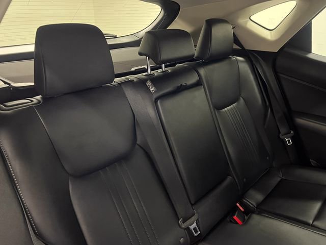 Certified 2025 Lexus NX 350h AWD w/ Cold Area Package image 13