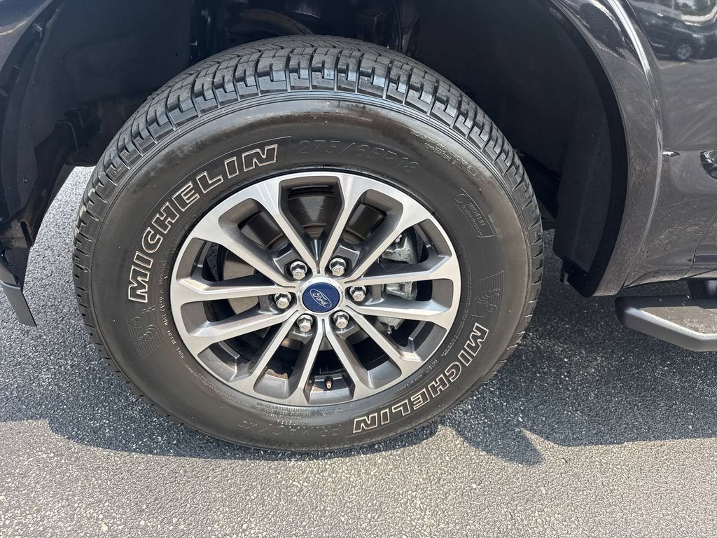 Used 2019 Ford F150 XLT w/ Equipment Group 302A Luxury AWD/4WD image 12