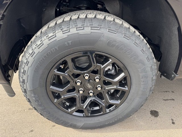 New 2025 Ford F150 XLT w/ Equipment Group 302A MID image 12