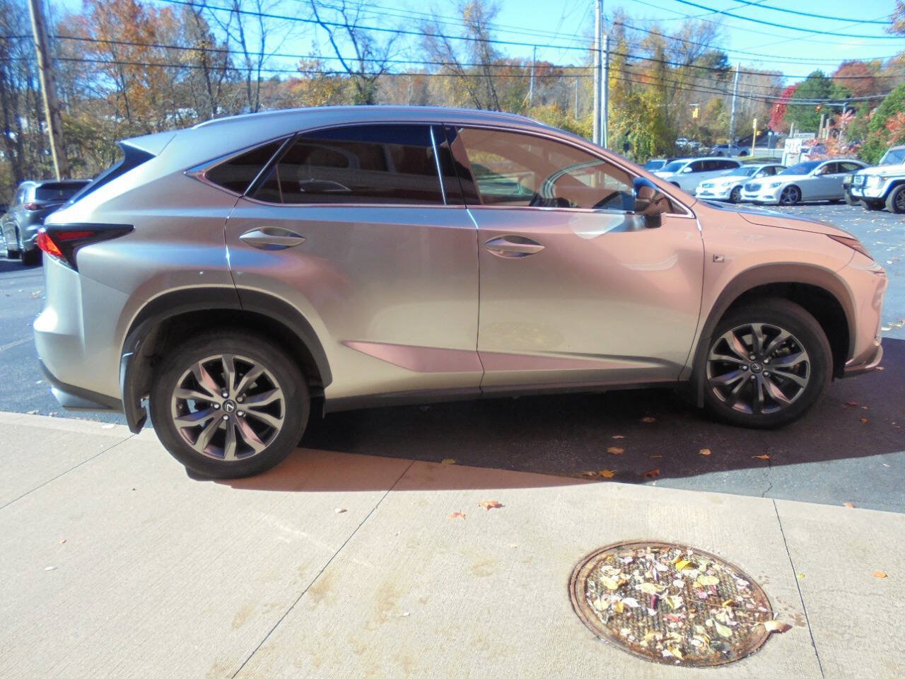 Used 2020 Lexus NX 300 F Sport AWD/4WD image 33