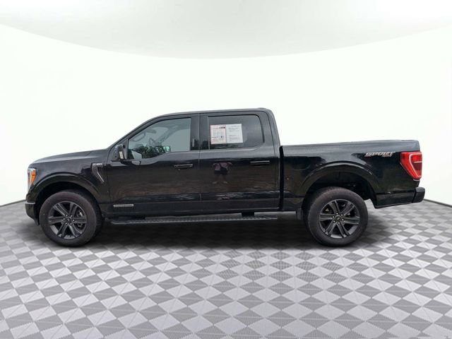 Used 2023 Ford F150 XLT w/ Equipment Group 302A High image 7
