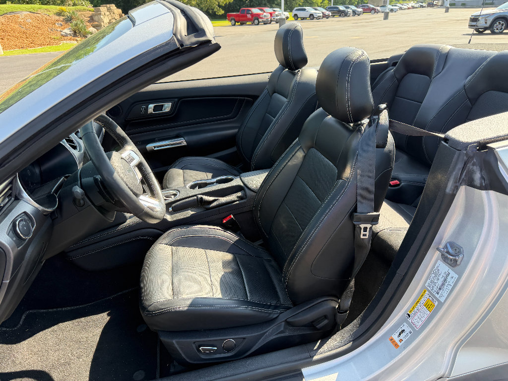 Used 2019 Ford Mustang GT Premium w/ Equipment Group 401A RWD image 25