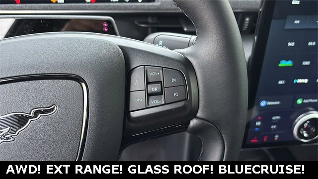 New 2025 Ford Mustang Mach-E Premium image 14