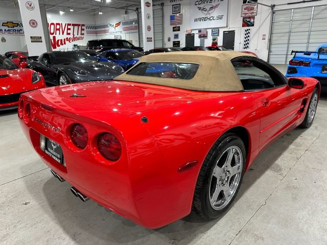 Used 1999 Chevrolet Corvette Convertible image 6