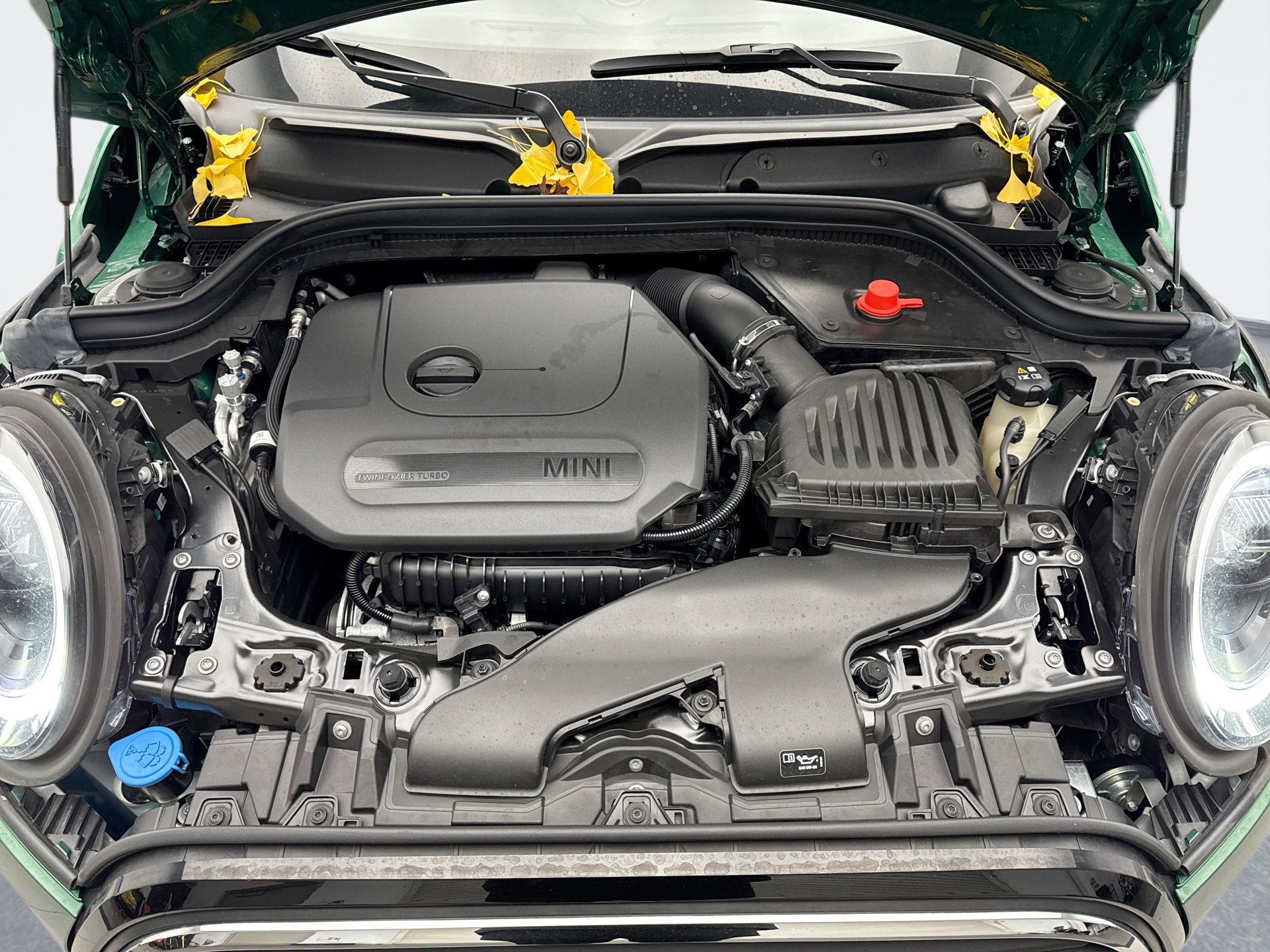 Used 2024 MINI Cooper SIGNATURE image 25