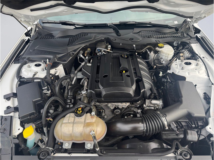 Used 2019 Ford Mustang Coupe RWD image 8