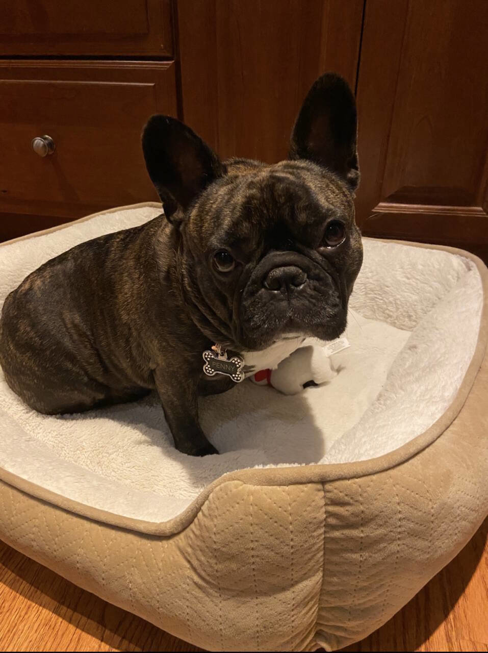 Used 2014 Dodge Challenger R/T image 43