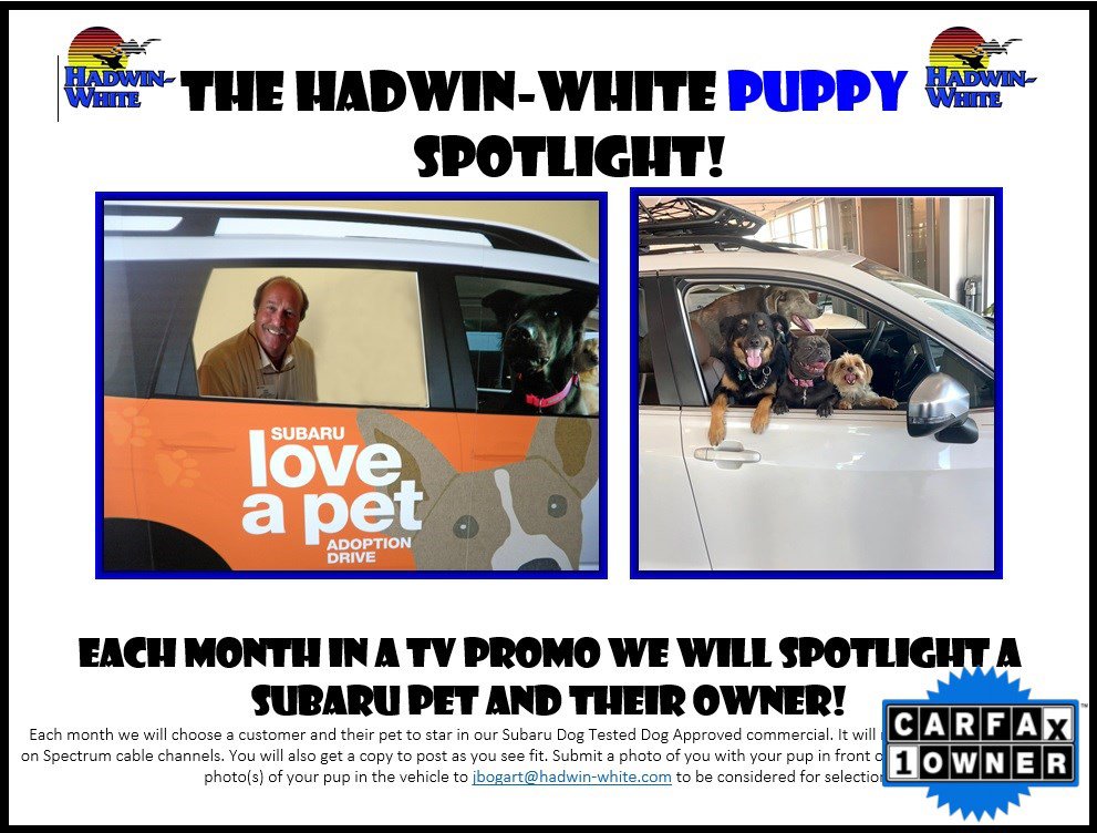 Used 2024 Honda CR-V Sport-L image 5