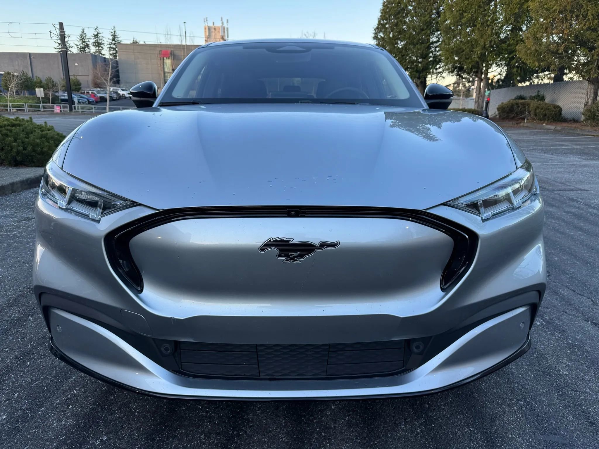 Used 2021 Ford Mustang Mach-E Premium image 3