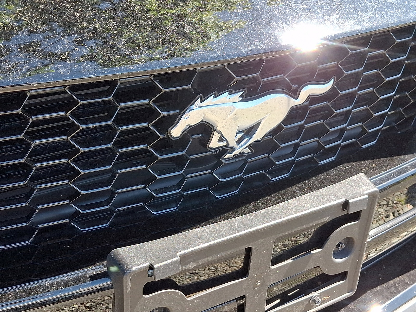Used 2025 Ford Mustang GT RWD image 4