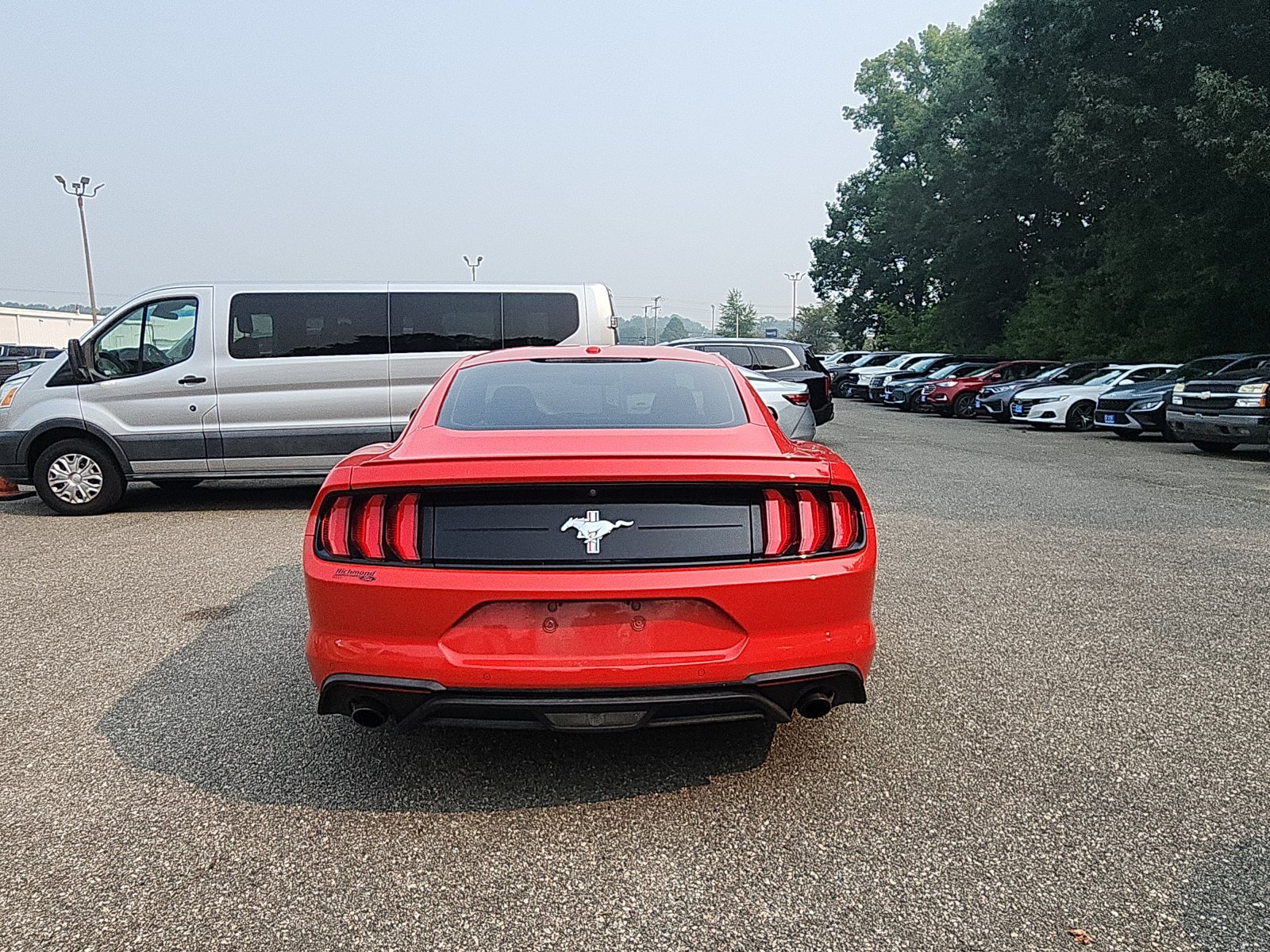 Used 2019 Ford Mustang Premium w/ Equipment Group 201A RWD image 4